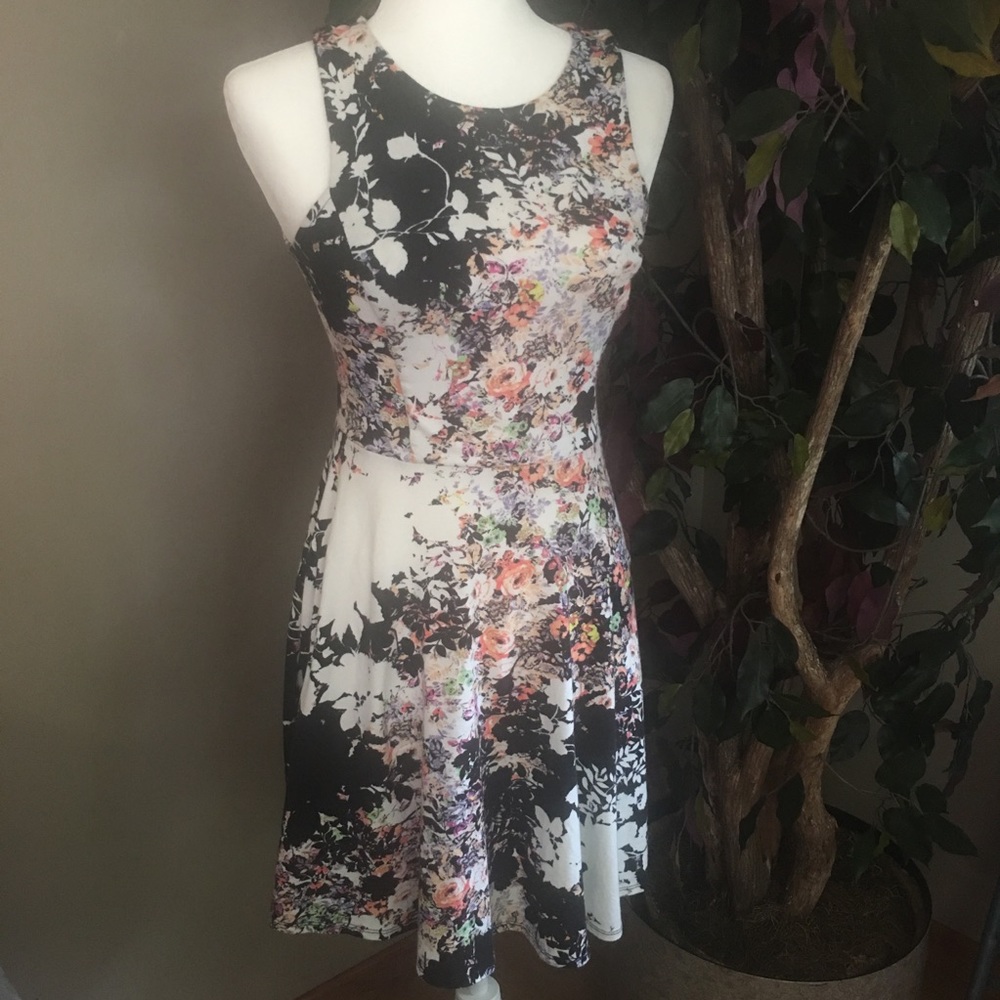 Xhilaration skater dress